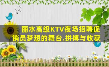 丽水高级KTV夜场招聘促销员梦想的舞台.拼搏与收获
